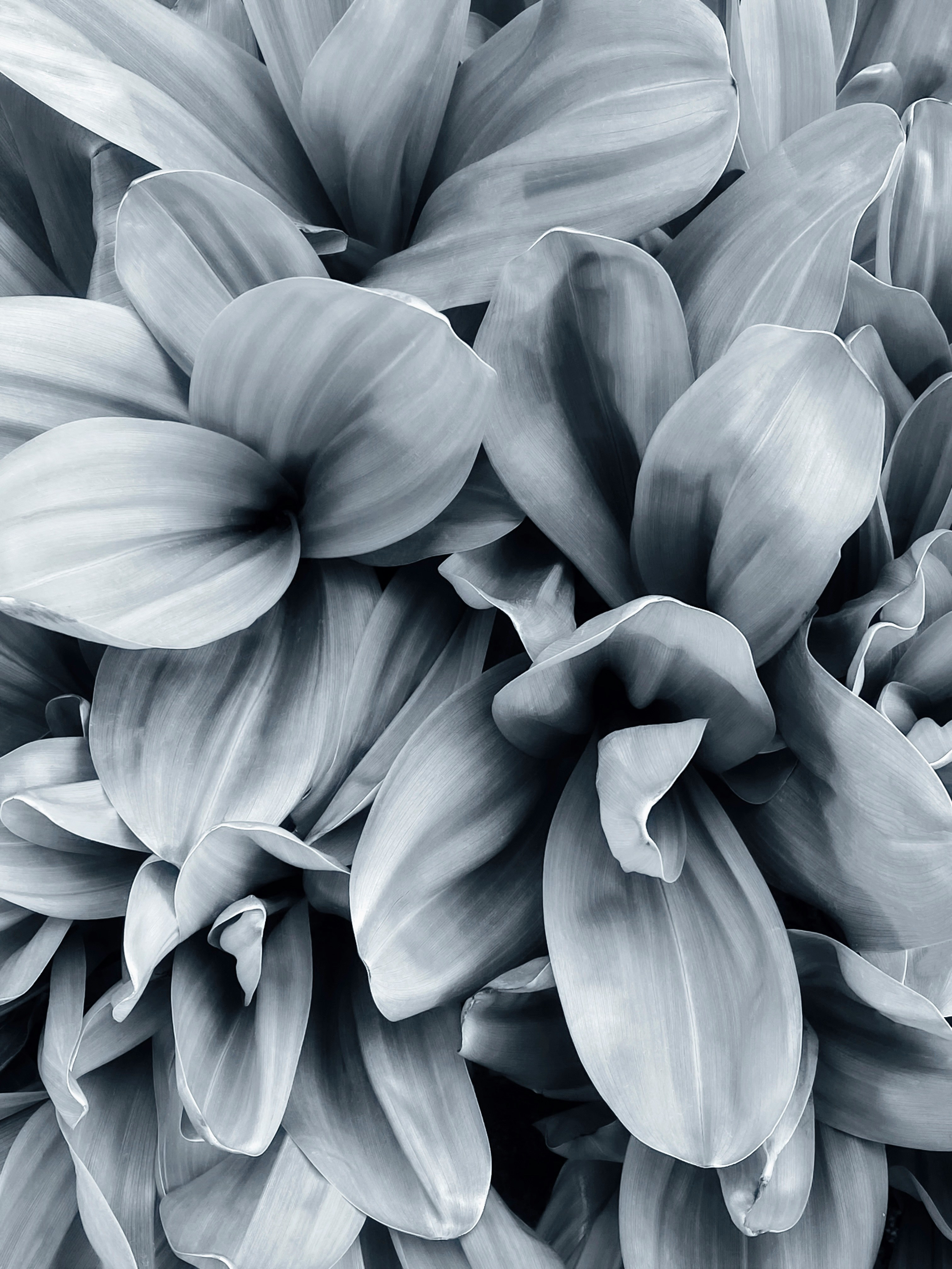 026.a8Stock.GRAPHIC-ELEMENTS.jpg