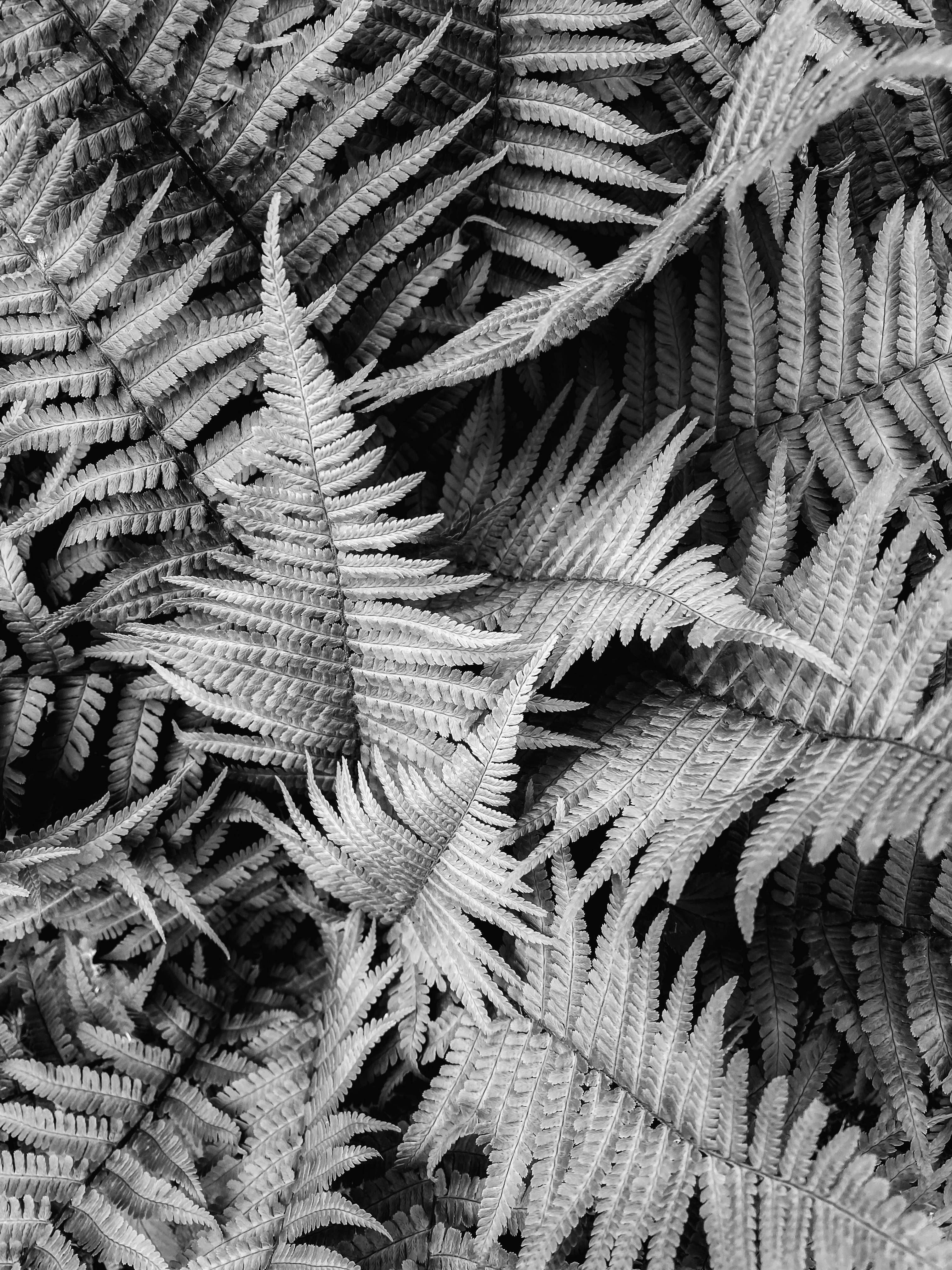 027.a8Stock.GRAPHIC-ELEMENTS.jpg