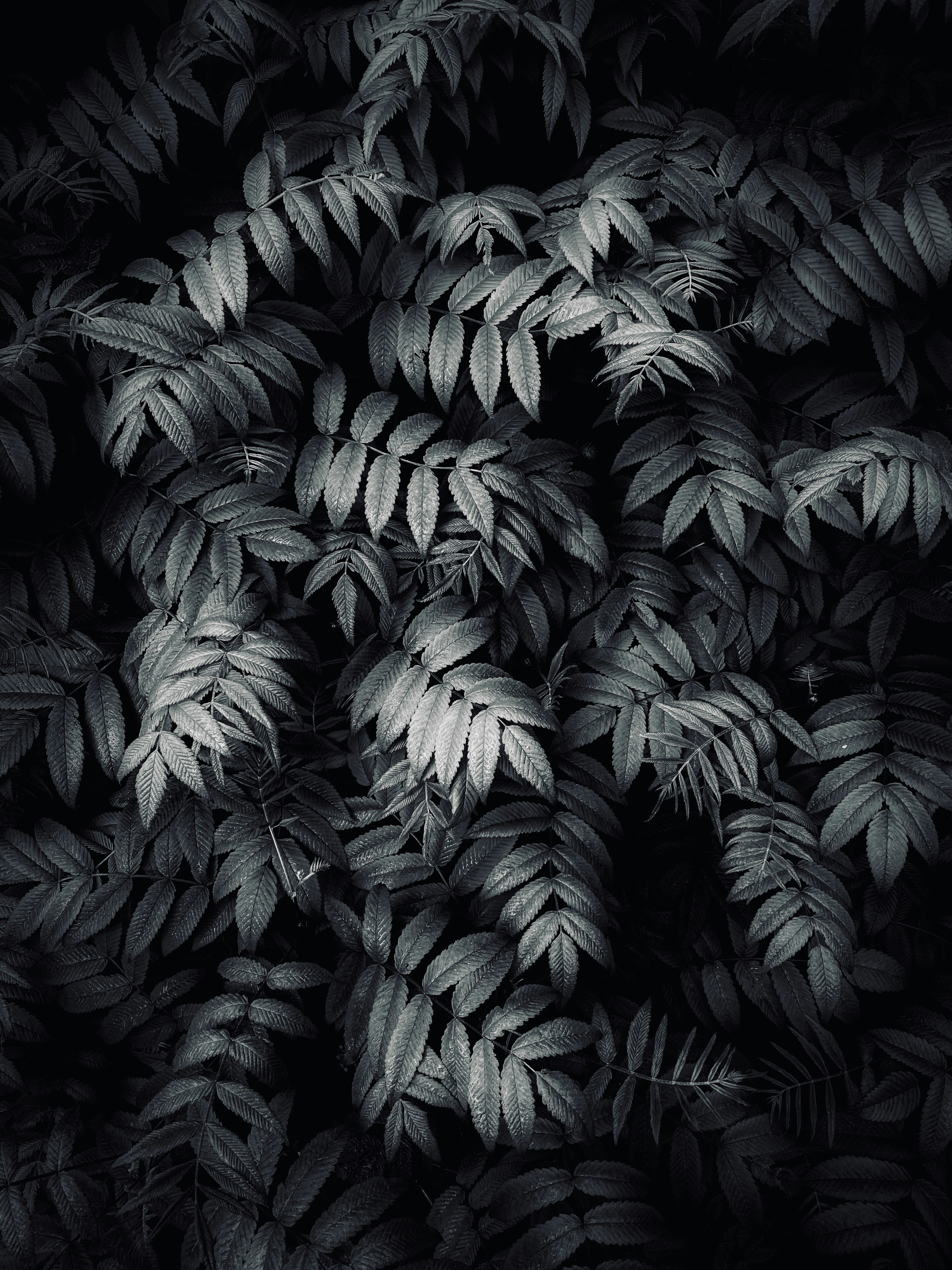 029.a8Stock.GRAPHIC-ELEMENTS.jpg